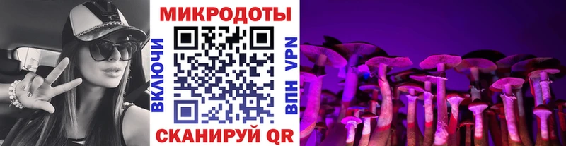 где найти наркотики  Ижевск  Псилоцибиновые грибы прущие грибы 